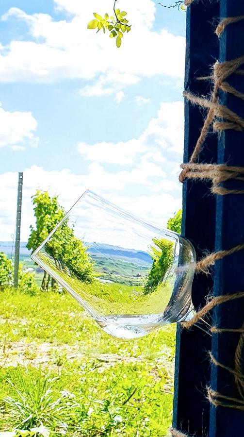 Pensiunea Crama Jelna Orheiu Bistriţei Exterior foto