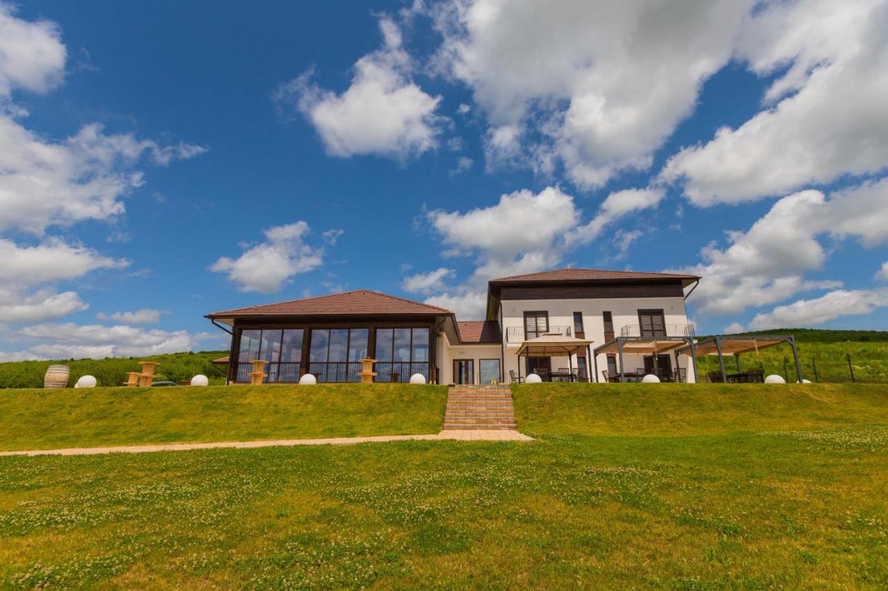 Pensiunea Crama Jelna Orheiu Bistriţei Exterior foto